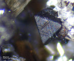 Eifel Mineralien Bellerberg Magnetit