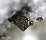 Eifel Mineralien Bellerberg Magnetit