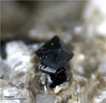 Eifel Mineralien Bellerberg Magnetit