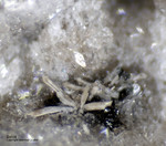Eifel Mineralien Bellerberg Sellait