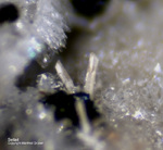 Eifel Mineralien Bellerberg Sellait