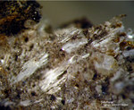 Eifel Mineralien Bellerberg Sillimanit