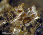 Eifel Mineralien Bellerberg Sillimanit