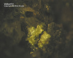 Eifel Mineralien Bellerberg Volborthit