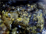 Eifel Mineralien Bellerberg Volborthit