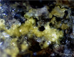 Eifel Mineralien Bellerberg Volborthit
