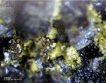 Eifel Mineralien Bellerberg Volborthit