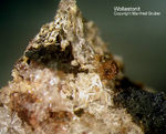 Eifel Mineralien Bellerberg Wollastonit