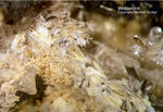Eifel Mineralien Bellerberg Wollastonit