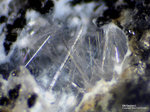 Eifel Mineralien Bellerberg Wollastonit