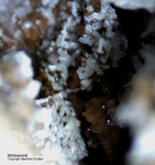 Eifel Mineralien Bellerberg Wollastonit