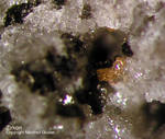 Eifel Mineralien Bellerberg Zirkon