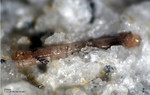 Eifel Mineralien Bellerberg Zirkon