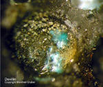 Eifel Mineralien Berzeliushütte Stolberg Devillin