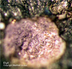 Eifel Mineralien Berzeliushütte Stolberg Elyit