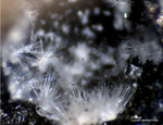 Eifel Mineralien Berzeliushütte Stolberg Ettringit
