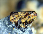 Eifel Mineralien Bleialf Pyrit