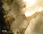 Eifel Mineralien Concordiahütte Eschweiler Ettringit