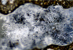 Eifel Mineralien Concordiahütte Eschweiler Ettringit
