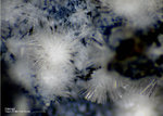 Eifel Mineralien Concordiahütte Eschweiler Ettringit