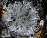 Eifel Mineralien Concordiahütte Eschweiler Ettringit