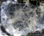Eifel Mineralien Concordiahütte Eschweiler Ettringit