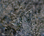Eifel Mineralien Concordiahütte Eschweiler Zinkit