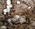 Eifel Mineralien Emmelberg Aragonit