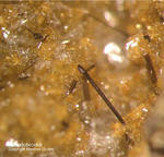 Mineralien Eifel Emmelberg Pseudobrookit