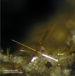 Mineralien Eifel Emmelberg Pseudobrookit