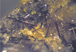 Mineralien Eifel Emmelberg Pseudobrookit