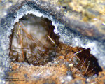 Mineralien Eifel Emmelberg Pseudobrookit