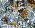 Mineralien Eifel Emmelberg Pseudobrookit