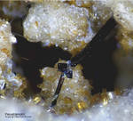 Mineralien Eifel Emmelberg Pseudobrookit