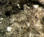 Eifel Mineralien Emmelberg Sanidin
