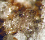 Eifel Mineralien Emmelberg Sanidin