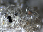 Eifel Mineralien Emmelberg Sanidin