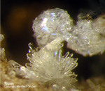 Eifel Mineralien Emmelberg Topas