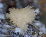 Eifel Mineralien Emmelberg Topas