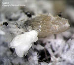 Eifel Mineralien Graulei Calcit 