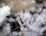 Eifel Mineralien Graulei Calcit 