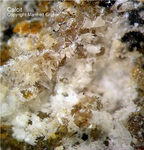 Eifel Mineralien Graulei Calcit 