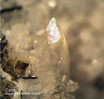 Eifel Mineralien Graulei Calcit 