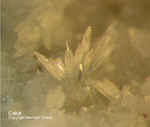 Eifel Mineralien Graulei Calcit 