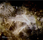 Eifel Mineralien Graulei Calcit 