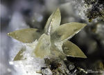 Eifel Mineralien Graulei Calcit 