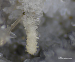 Eifel Mineralien Graulei Calcit 