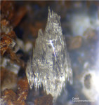 Eifel Mineralien Graulei Calcit 