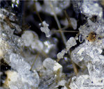 Eifel Mineralien Graulei Calcit 