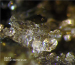 Eifel Mineralien Graulei Leucit